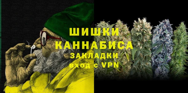шишки Балахна