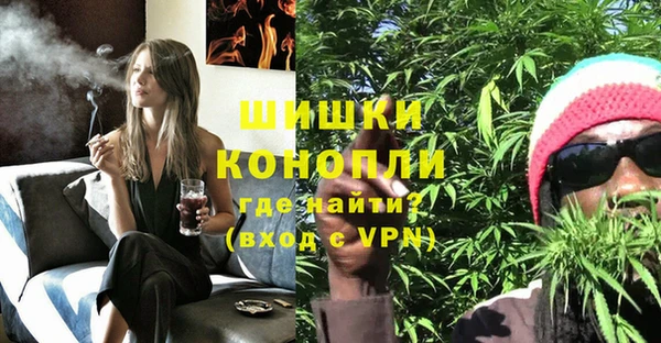 шишки Балахна