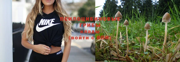 шишки Балахна