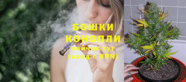 шишки Балахна
